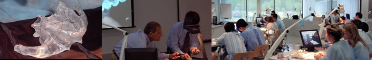 Photos of Harvard Dental School class using biomodels for simulated surgery.
